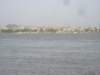 theriverandthecity_small.jpg